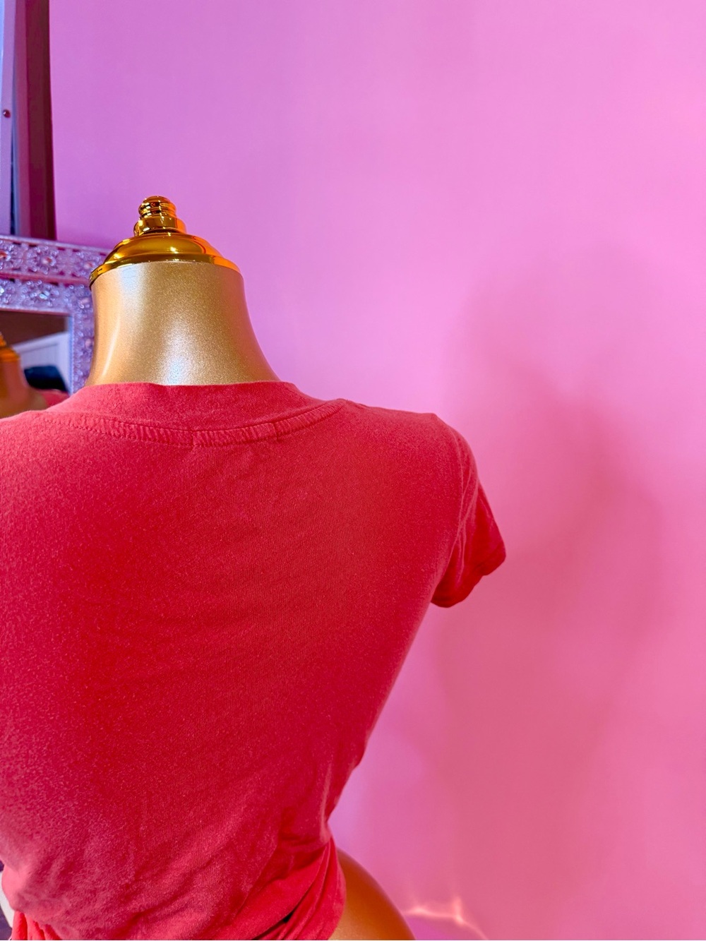 James Perse Coral V-Neck Short Sleeve Tee - Picture 6 of 7